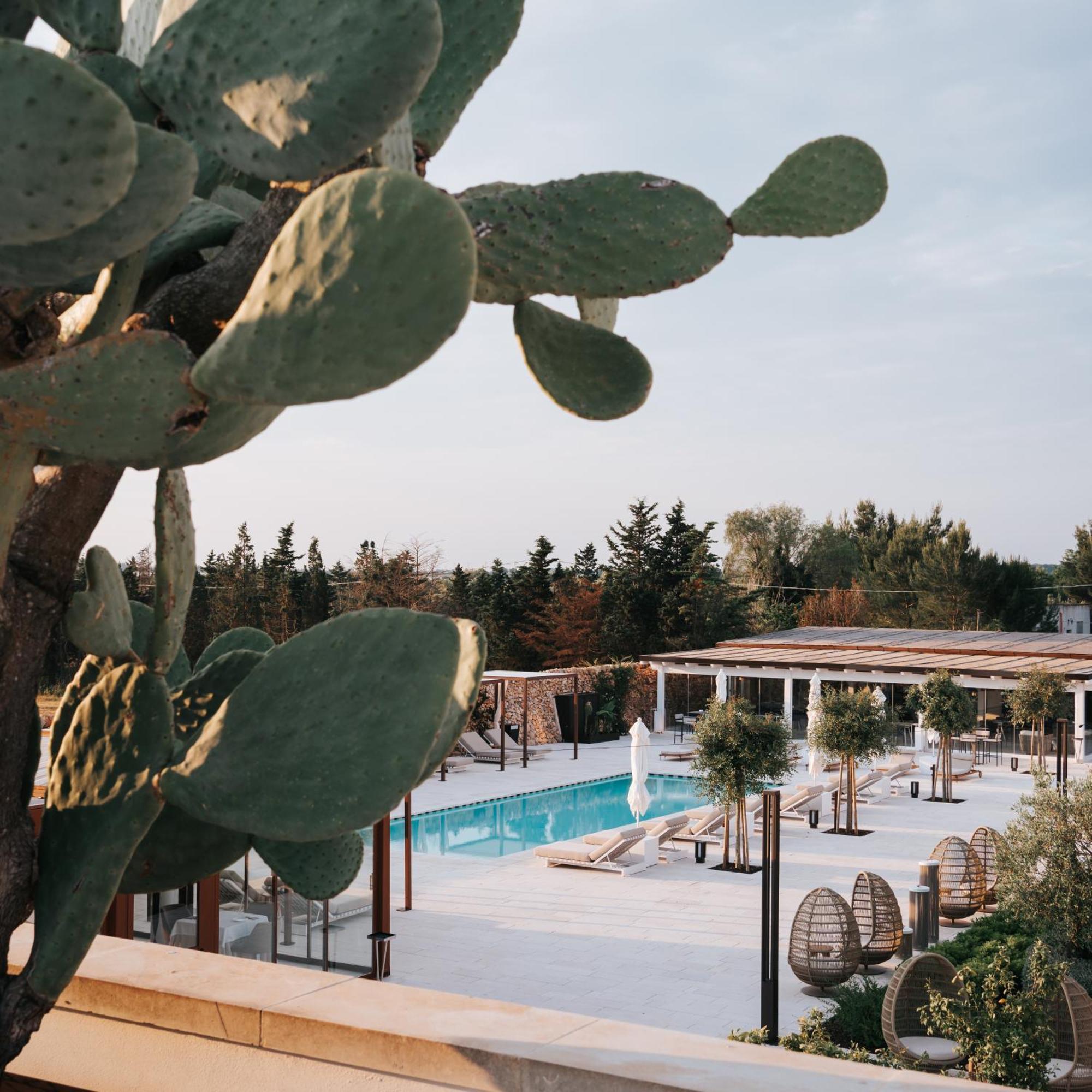 Hotel Masseria Corsano Nardò Exteriér fotografie